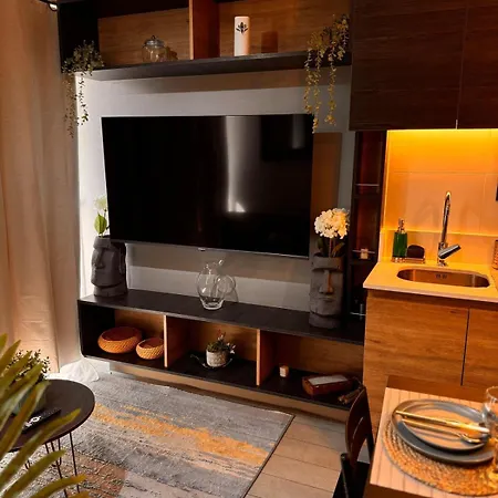 Modern Apartment In The Heart Of Santiago